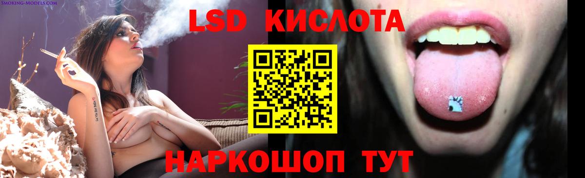 Лсд 25 экстази ecstasy  Вход с VPN  Лсд 25 экстази ecstasy  Лсд 25 экстази  Новоалександровск 
