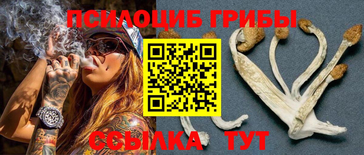Псилоцибиновые грибы MAGIC MUSHROOMS Новоалександровск