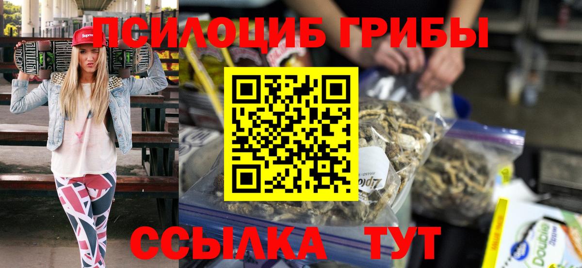 Галлюциногенные грибы Psilocybine cubensis  Галлюциногенные грибы Psilocybine cubensis  Новоалександровск  Вход с VPN 